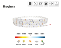 LED Stripe ECOLINE 14,4 W | IP20 | 12V | 5m